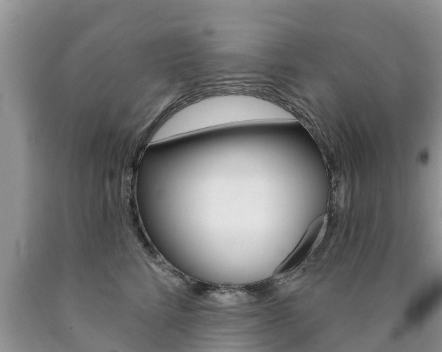 X0000090770712200707201114