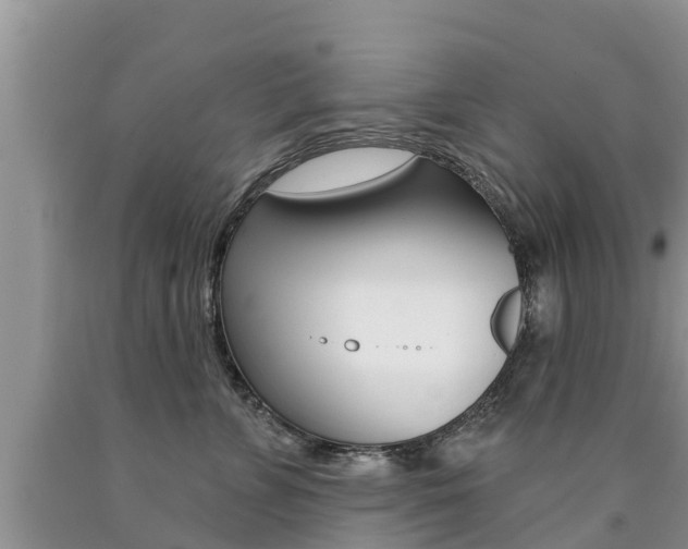 X0000090770715200707201114
