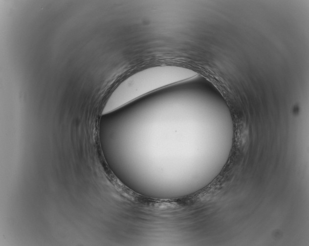 X0000090770716200707201114