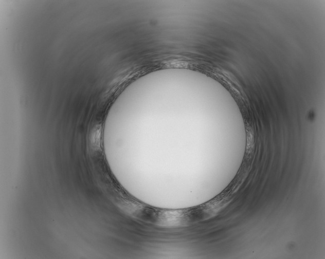 X0000090770717200707201114