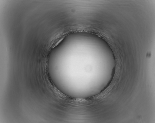X0000090770720200707201114