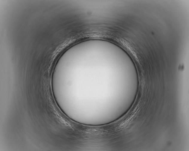 X0000090770721200707201114