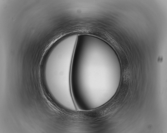 X0000090770722200707201114