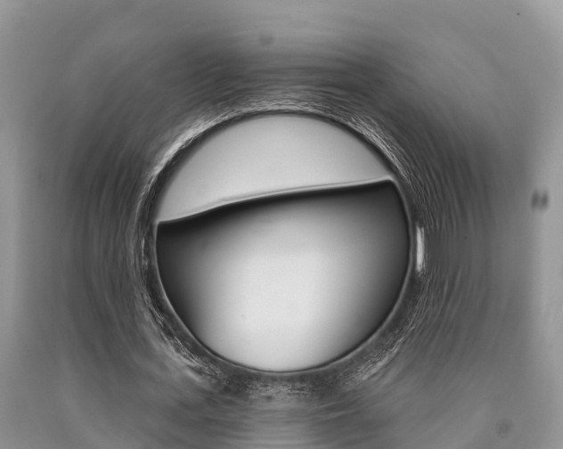 X0000090770723200707201114