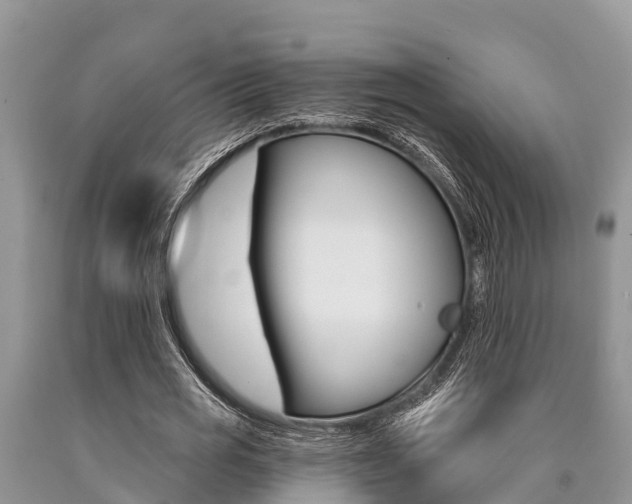 X0000090770725200707201114