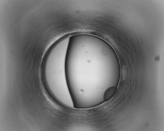 X0000090770726200707201114