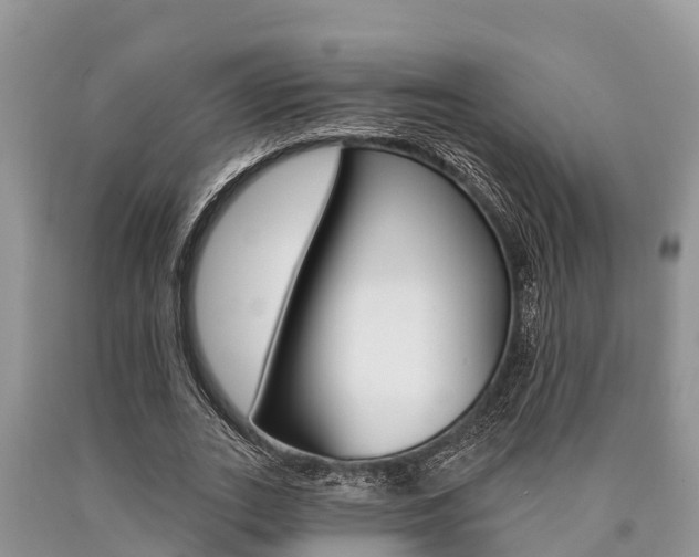 X0000090770727200707201114