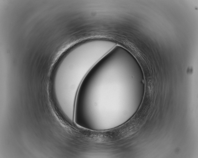 X0000090770728200707201114