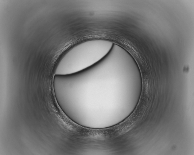 X0000090770729200707201114