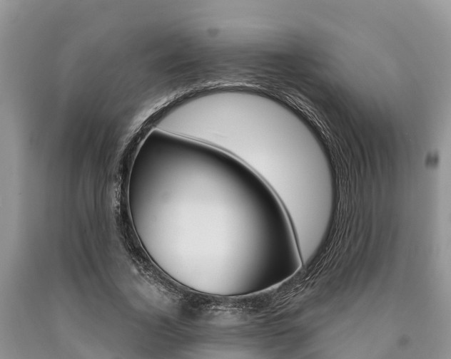 X0000090770732200707201114