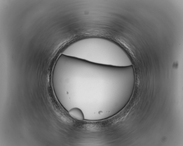 X0000090770733200707201114