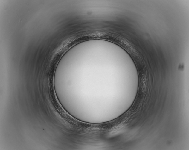 X0000090770734200707201114