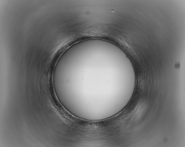 X0000090770735200707201114