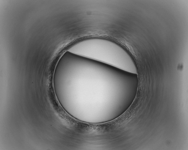 X0000090770736200707201114