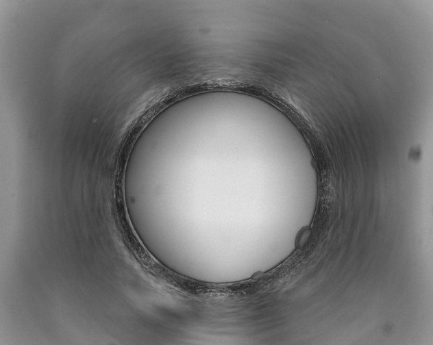 X0000090770738200707201114