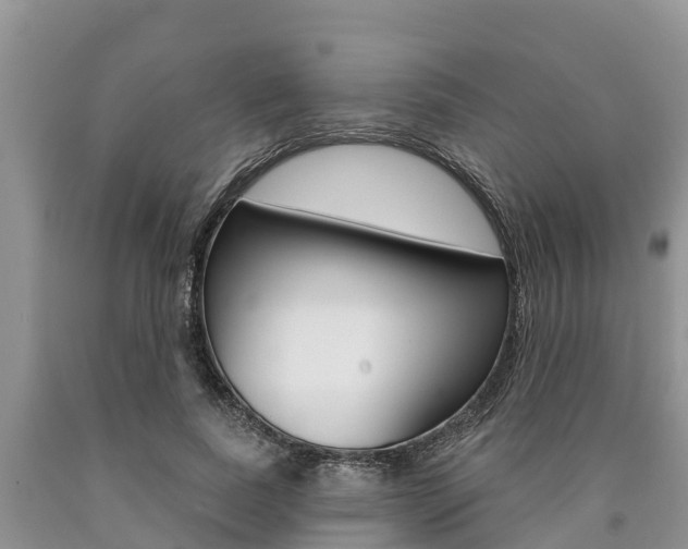 X0000090770739200707201114
