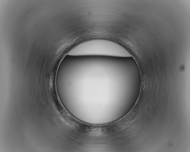 X0000090770740200707201114