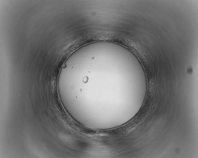 X0000090770741200707201114