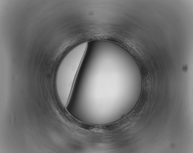 X0000090770742200707201114