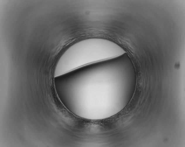 X0000090770743200707201114