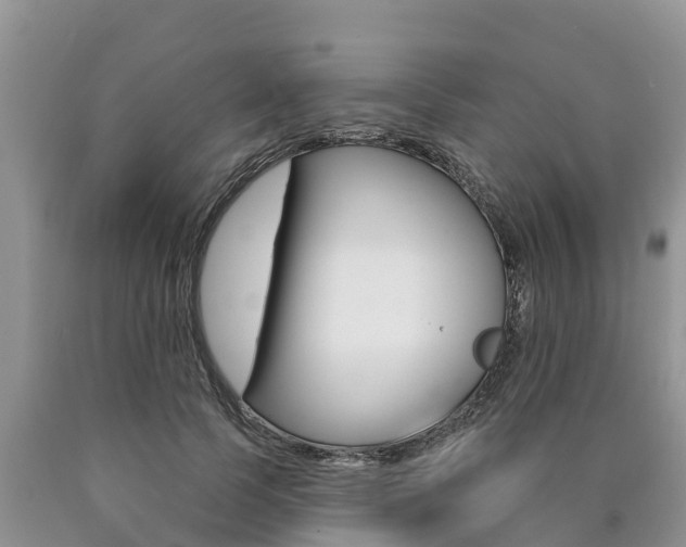 X0000090770745200707201114