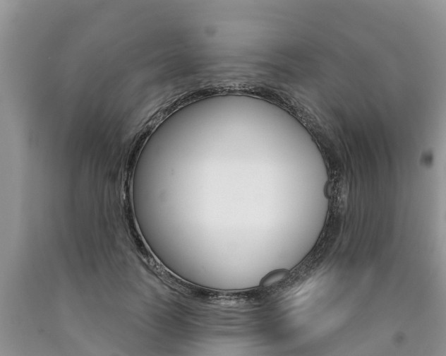 X0000090770746200707201114