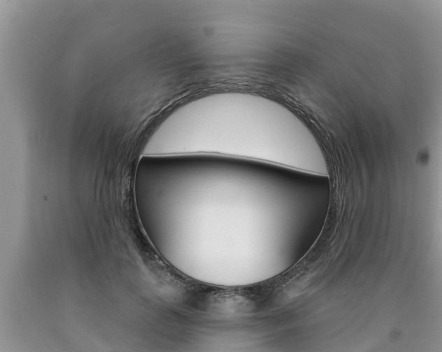 X0000090770747200707201114