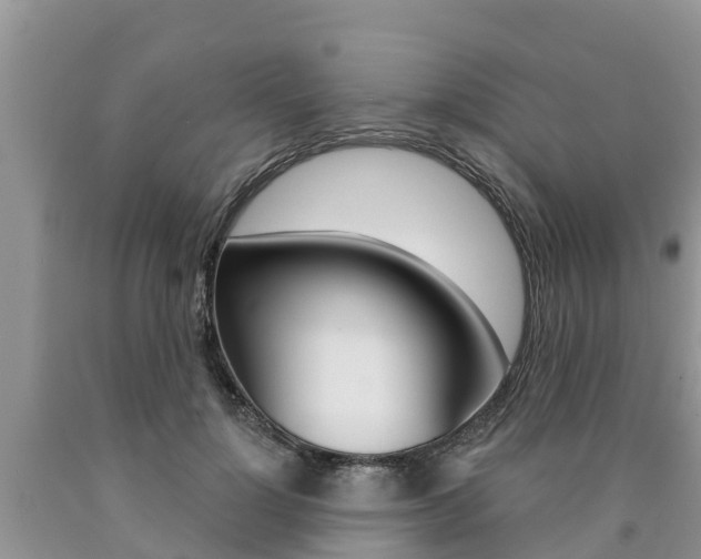 X0000090770748200707201114