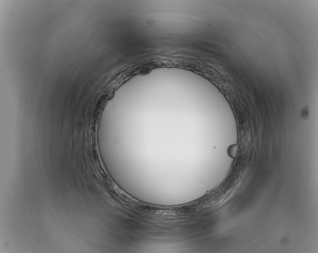 X0000090770749200707201114