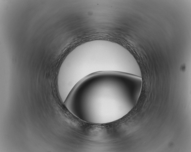 X0000090770750200707201114