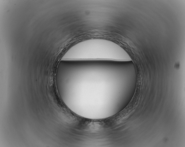 X0000090770751200707201114