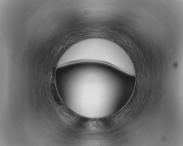 X0000090770752200707201114