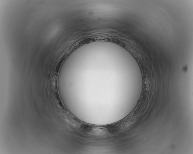 X0000090770753200707201114