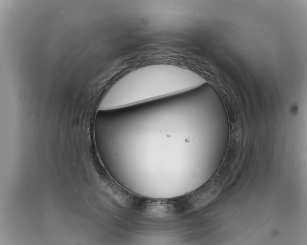 X0000090770754200707201114