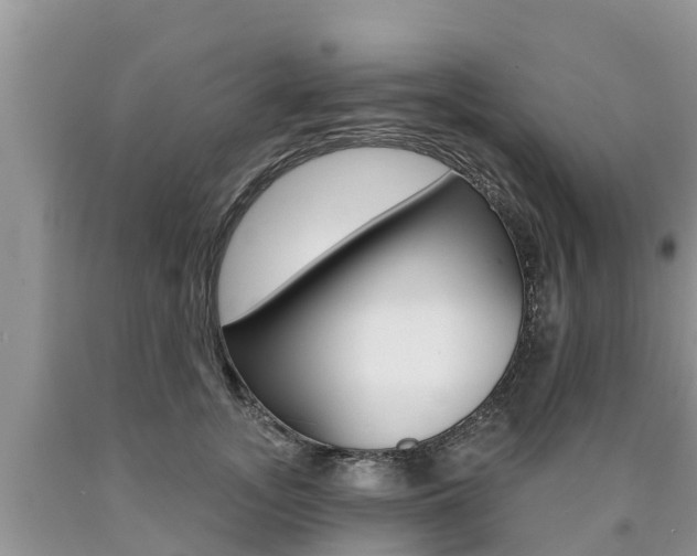 X0000090770755200707201114