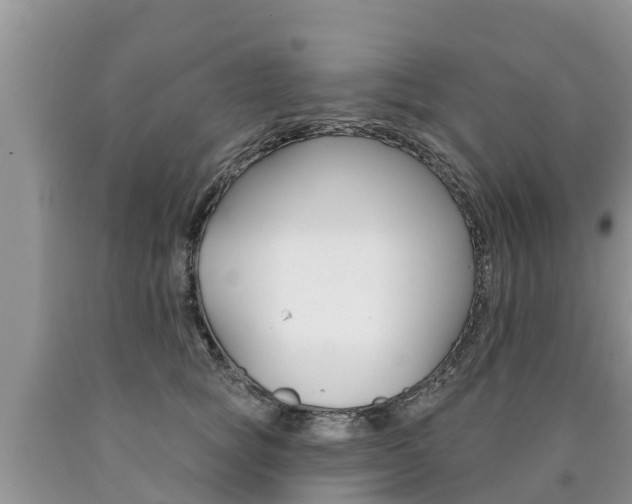 X0000090770757200707201114