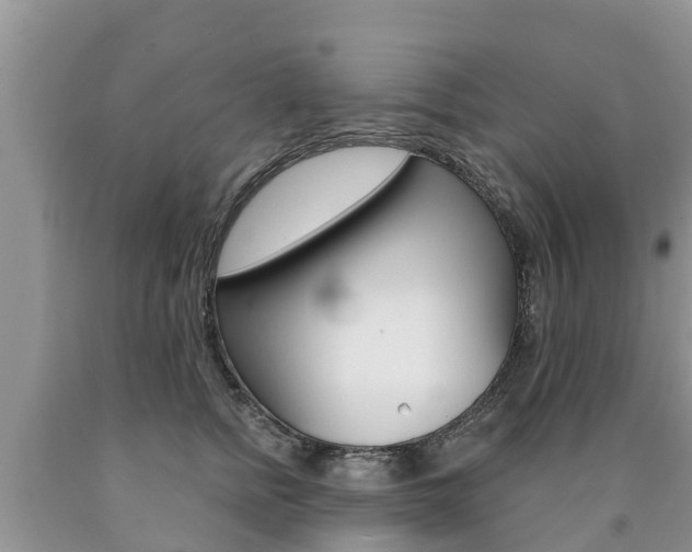 X0000090770758200707201114