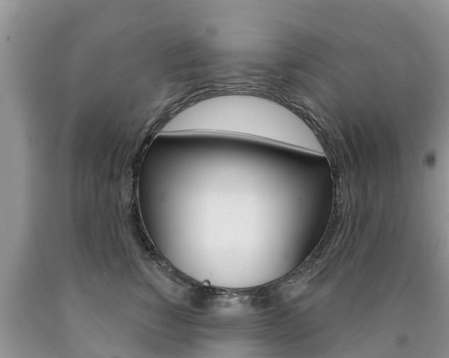 X0000090770760200707201114