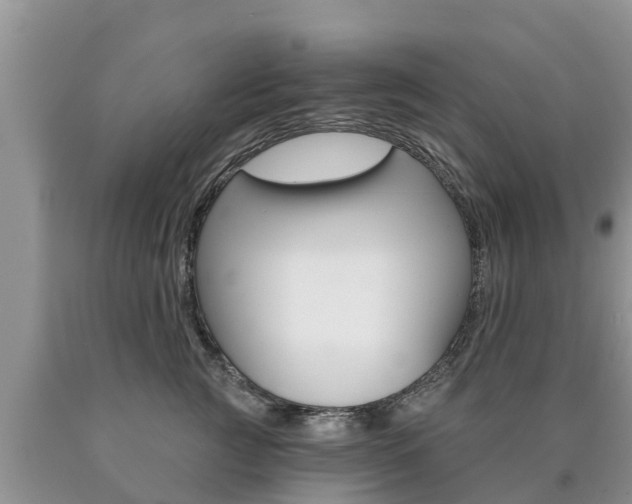 X0000090770761200707201114