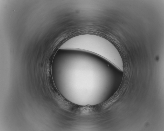 X0000090770762200707201114