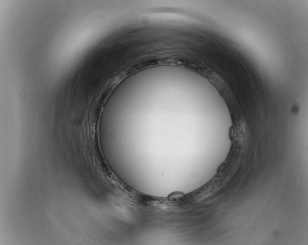X0000090770763200707201114