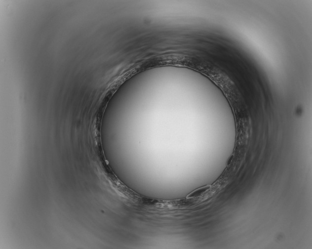 X0000090770764200707201114