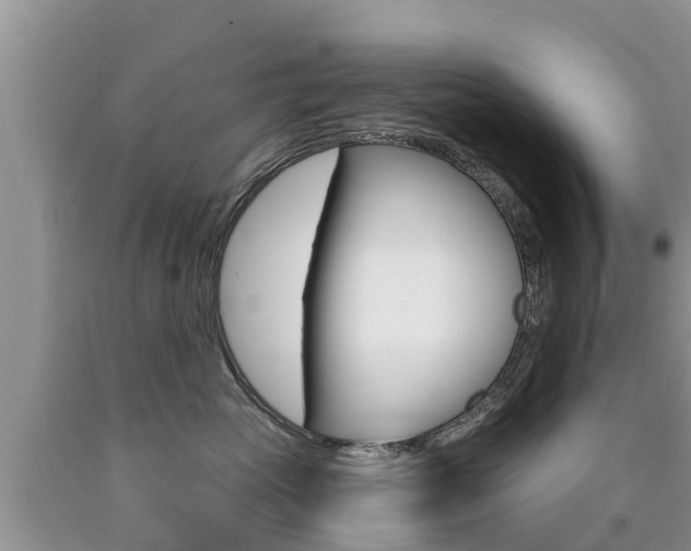 X0000090770765200707201114