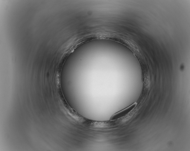 X0000090770766200707201114
