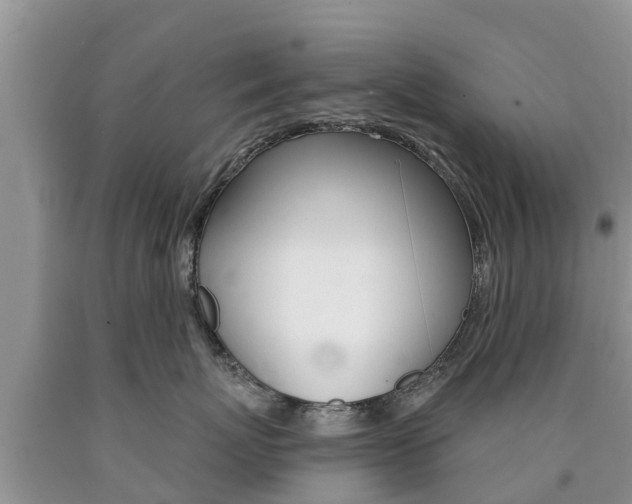 X0000090770767200707201114