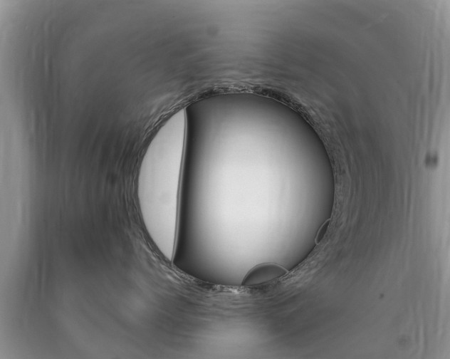 X0000090770768200707201114