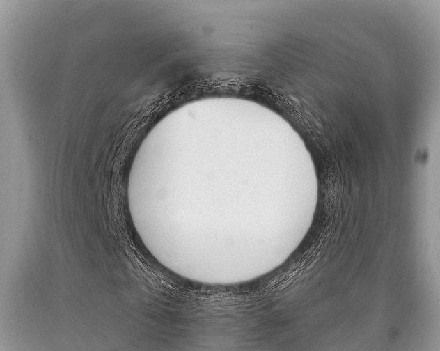 X0000090770769200707201114
