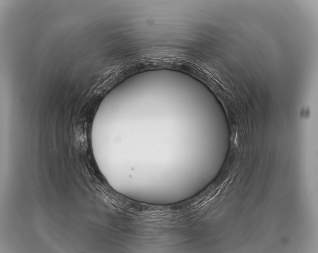 X0000090770771200707201114