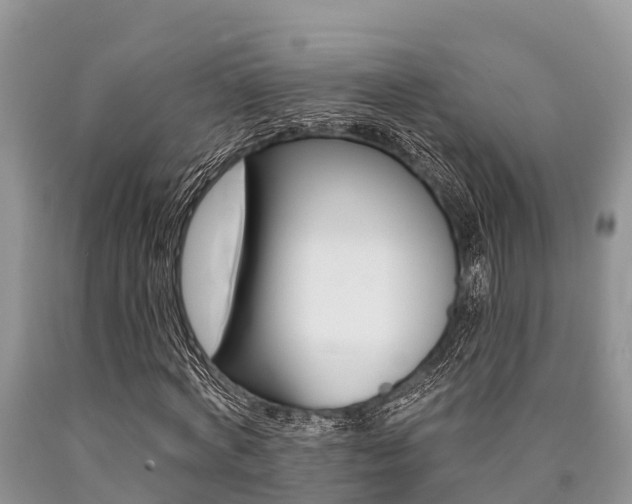 X0000090770772200707201114