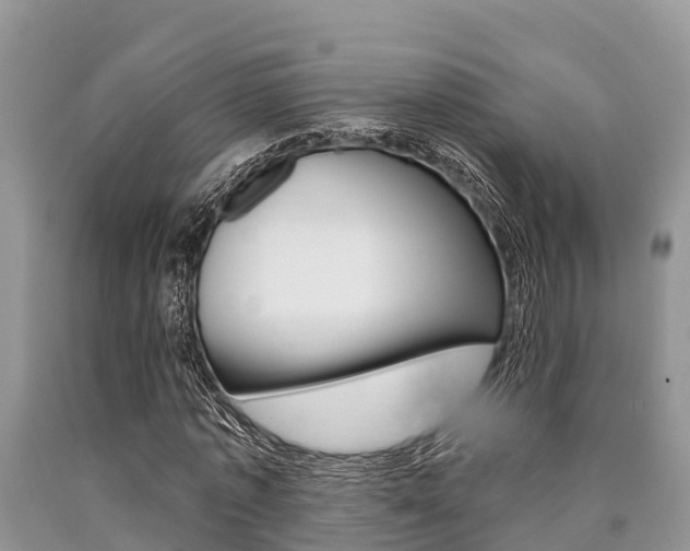 X0000090770773200707201114
